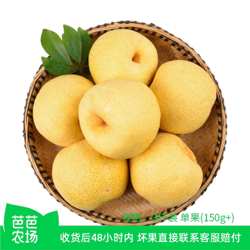 安徽特产砀山酥梨3斤装