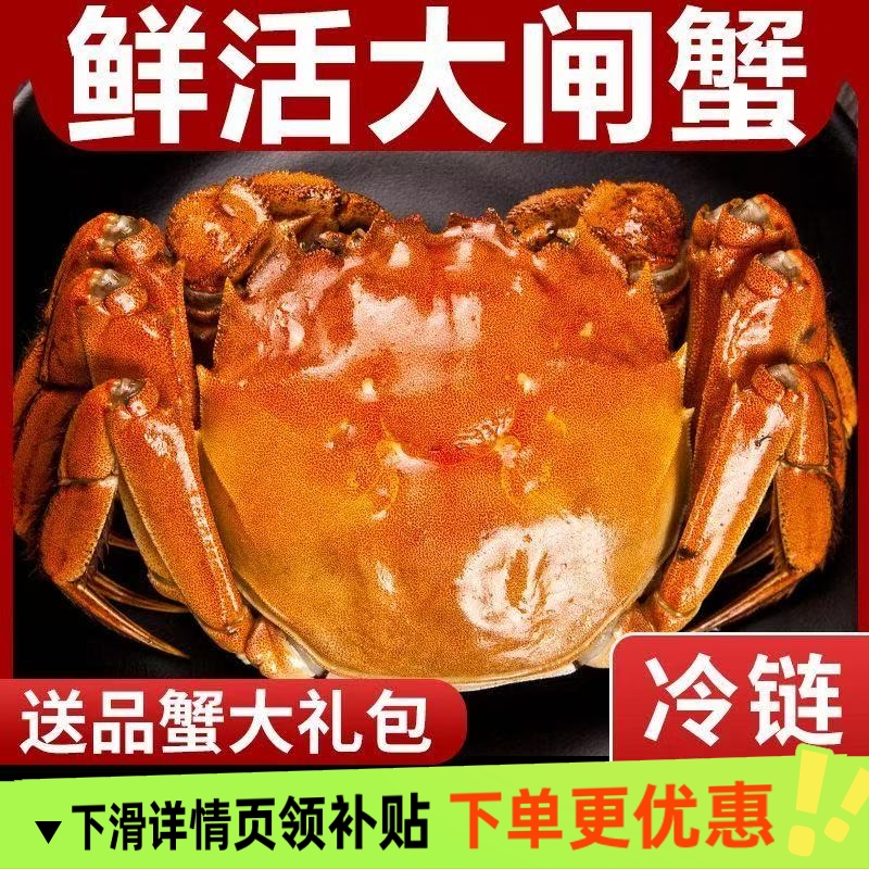 活蟹现货大闸蟹鲜活螃蟹公母海鲜生鲜水产中秋礼盒装6/12只装含绳