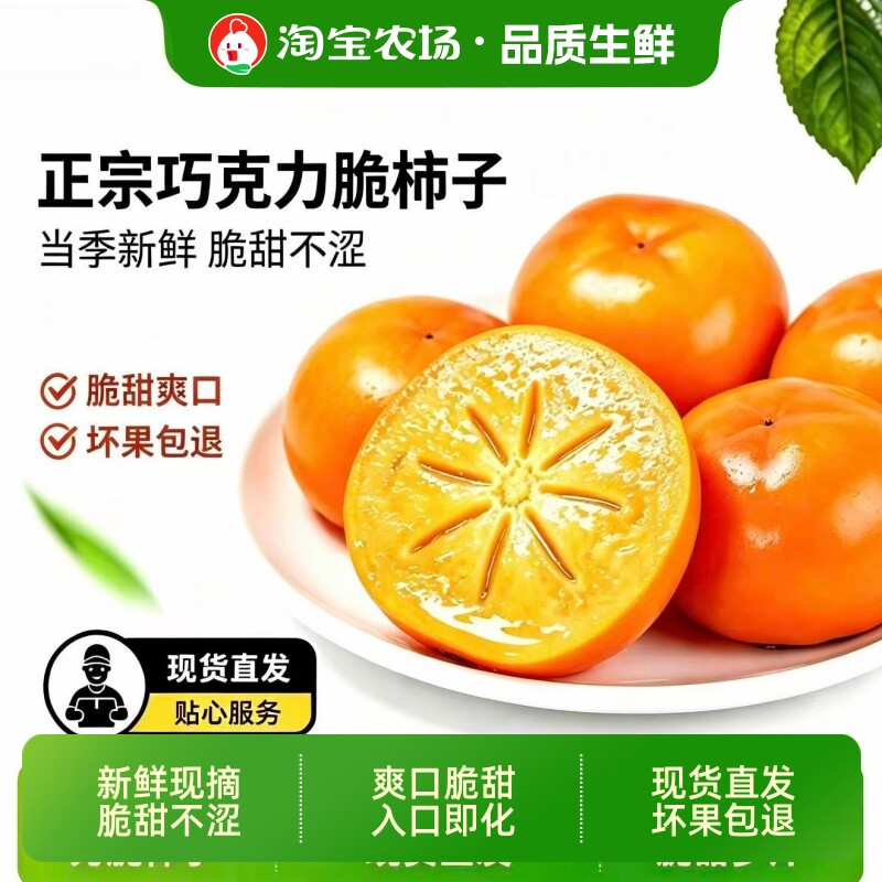 正宗巧克力脆柿子净重4.5斤（单果100g+）