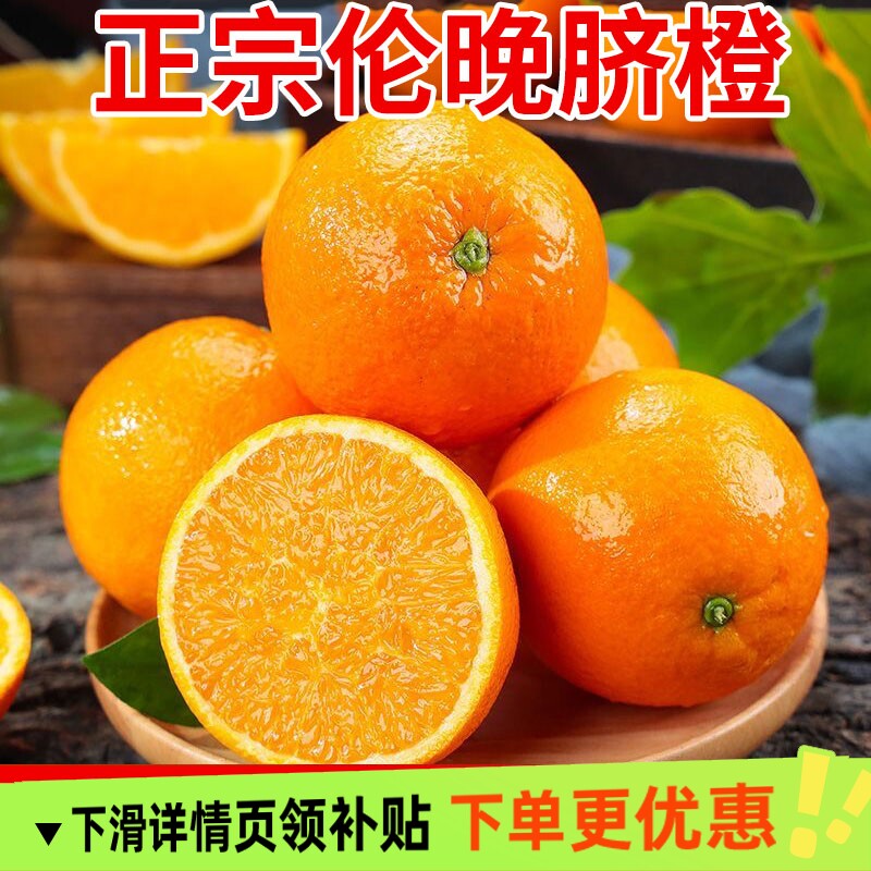现摘宜昌秭归正宗伦晚春橙脐橙当季新鲜水果新鲜现摘整箱批发榨汁图片