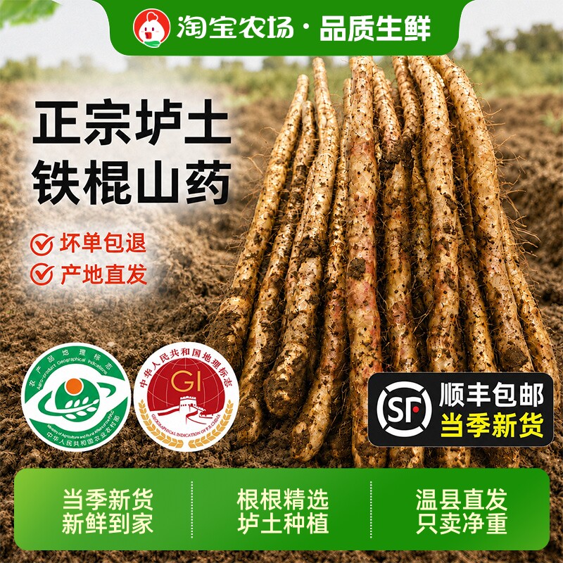 品质生鲜河南焦作温县铁棍山药新鲜垆土淮山药正宗怀山药特产甄选