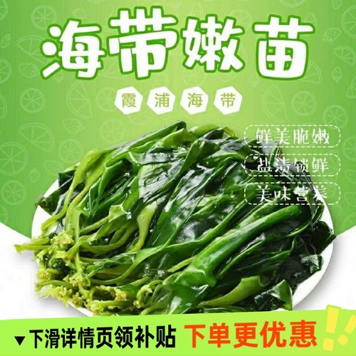 鲜海带苗嫩海带商用霞浦新鲜盐渍小海带芽火锅食材丰富营养美味