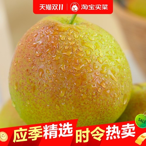 非常好吃的山西玉露香梨皮薄肉厚核小汁多大梨新鲜水梨子酥脆