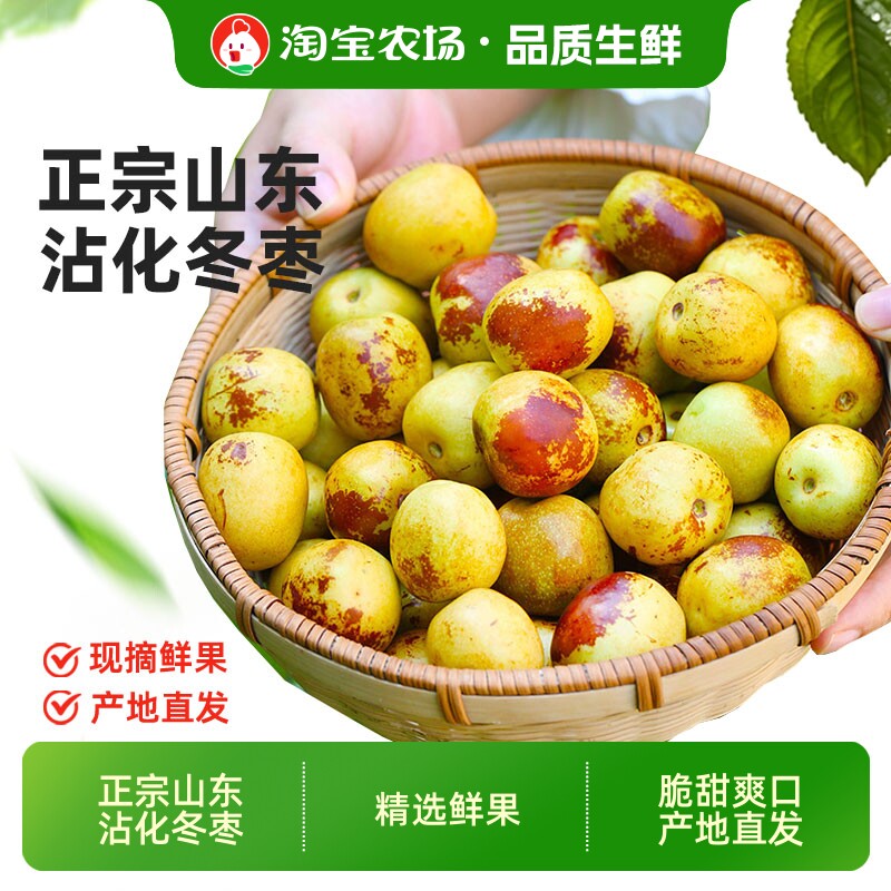 品质沾化冬枣2026新鲜时令当季山东特产大枣整箱5斤现摘直发正宗
