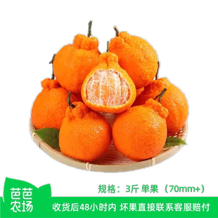 70mm 丑橘3斤装 芭芭农场