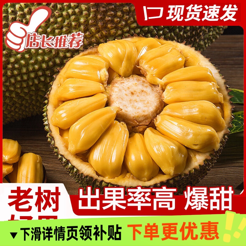 海南菠萝蜜1个 净重15-20斤