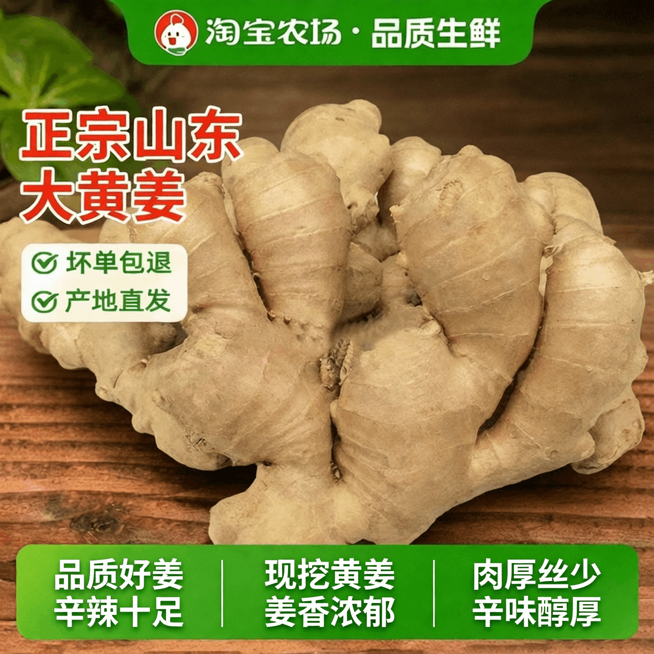 山东大姜生姜老姜月子姜风干姜鲜姜新鲜老黄姜包邮大黄姜自提食用