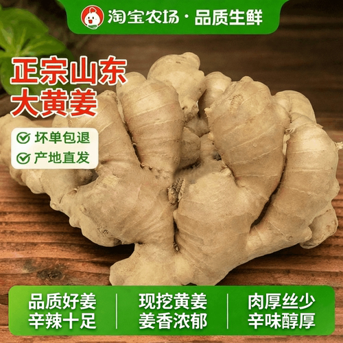 山东大姜生姜老姜月子姜风干姜鲜姜新鲜老黄姜包邮大黄姜自提食用