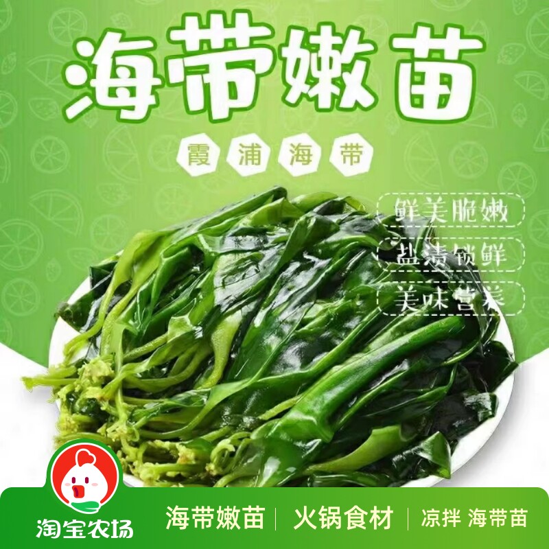 霞浦爽口海带苗盐渍海带嫩苗新鲜低卡火锅食材凉拌绿色特产批发