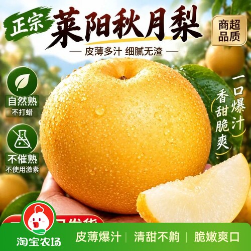 正宗山东秋月梨当季新鲜水果梨子农场现摘多规格中秋冰糖脆甜市场