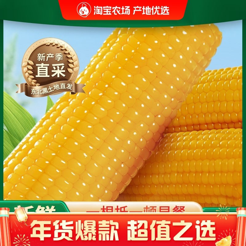 2025年新东北黄糯玉米棒10根苞米真空装黄糯玉米新鲜早餐代餐大棒