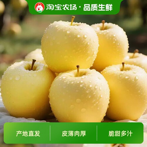 山东奶油富士苹果脆甜新鲜汁水丰富皮薄皆宜烟台苹果正宗农场黄金