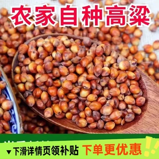 农家现货带皮红高粱酿酒新及糯红高粱酿醋贵州粳高粱米