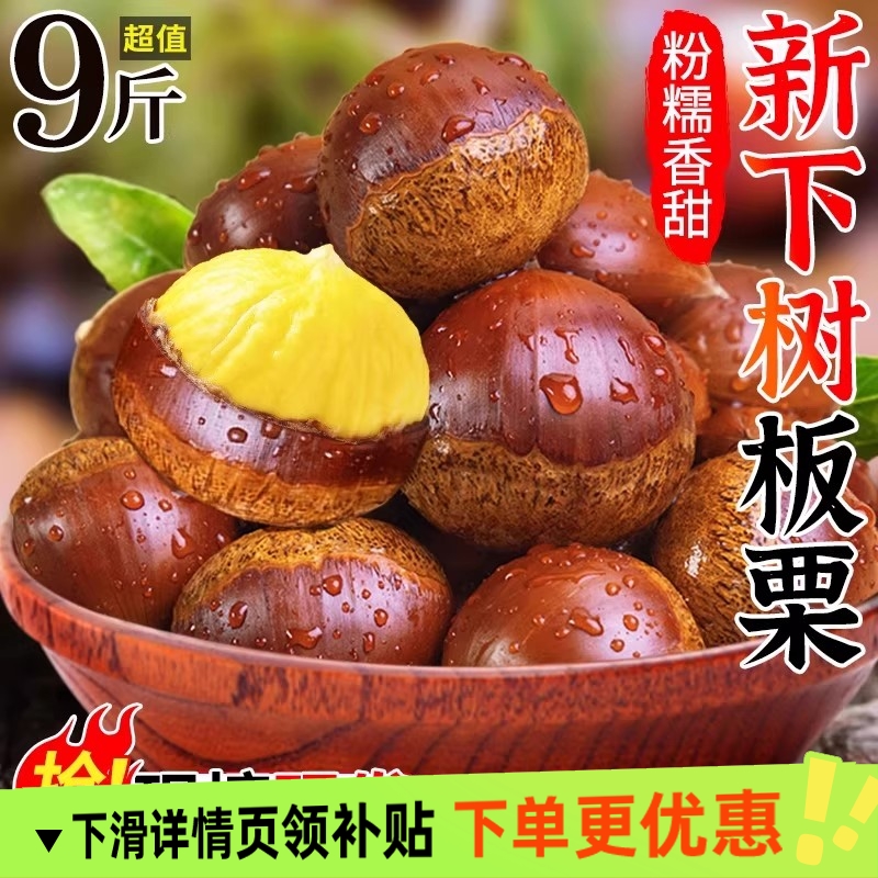 正宗丹东板栗新鲜毛栗子产地直发