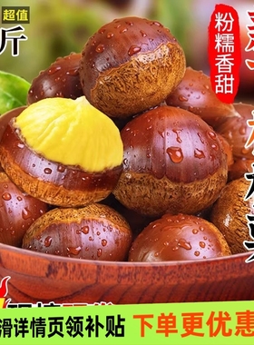 2025新鲜丹东板栗新货生板栗1/3/5斤毛栗子野生大板栗产地批发价