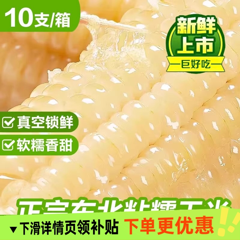 东北白糯玉米甜糯粘玉米棒真空包装黏玉米新鲜粗粮代餐非即食玉米