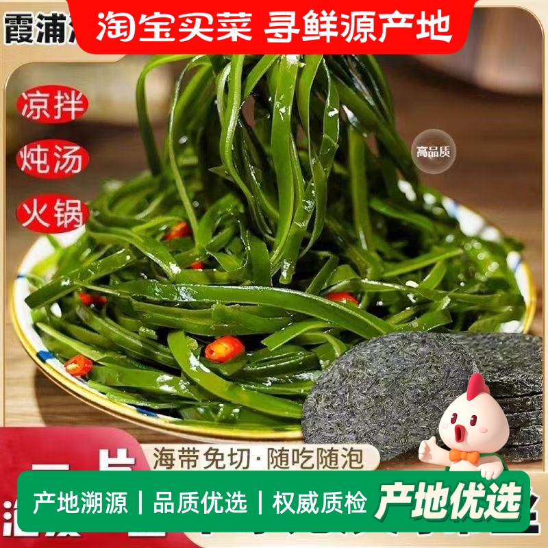 当季新菜压缩烘干海带丝易泡发