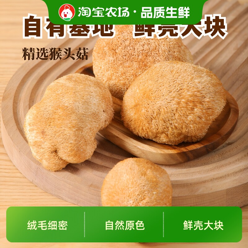 湖心泉精选猴头菇干货65g鲜品菇类山珍煲汤食材美食健康有机营养