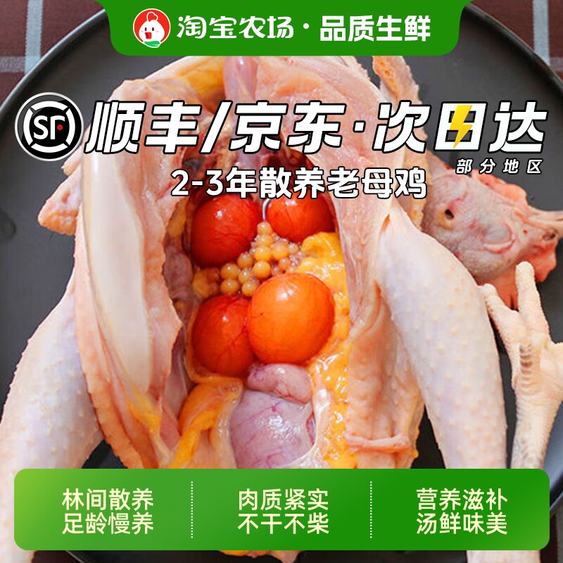 整只老母鸡土鸡农家散养新鲜走地鸡跑山鸡正宗草鸡皖南鸡肉冷冻