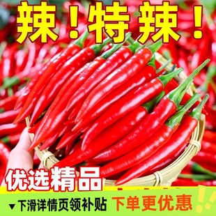 小米辣椒新鮮5斤批發小米椒朝天椒特辣超辣薄皮土紅辣椒指天椒