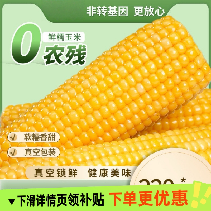 正宗东北新鲜黄糯玉米软糯拉丝独立真空包装寒地黑土一年一季