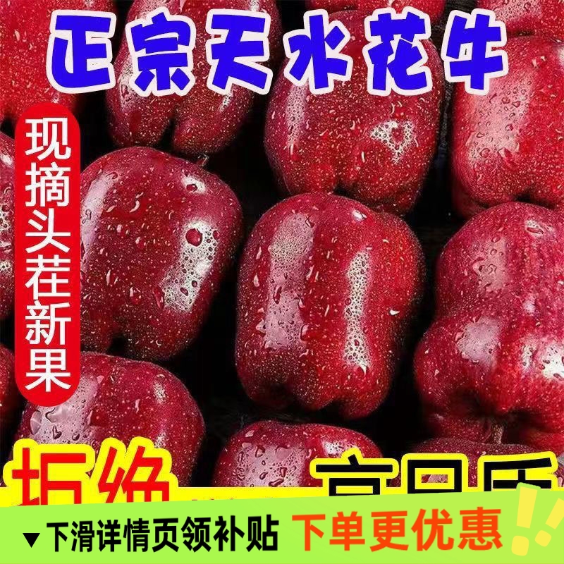 正宗甘肃天水花牛苹果水果小孩老人新鲜当季红蛇粉面沙脆甜批发