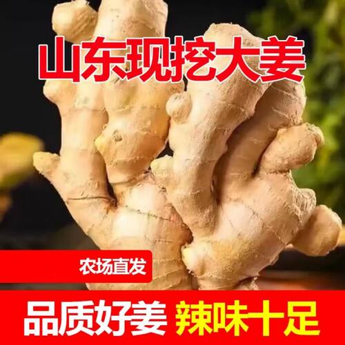 山东大姜老姜生姜月子姜现挖新鲜老黄姜食用自提当季泡脚鲜嫩山地