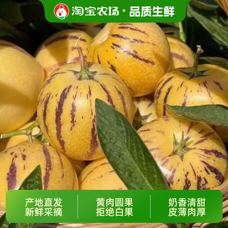 人参果新鲜水果云南石林黄心圆果树上熟果应当季整箱包邮农场直发