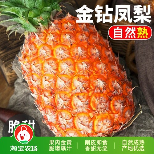新鲜正宗海南金钻凤梨9斤大果水果热带无眼整箱菠萝现摘西瓜农场