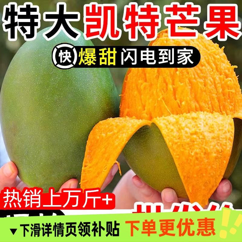正宗攀枝花凯特大爆甜芒果5斤新鲜水果当季整箱现摘青皮大芒果