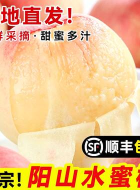现货正宗无锡阳山水蜜桃子新鲜水果整箱应当季湖景白凤礼盒毛顺丰