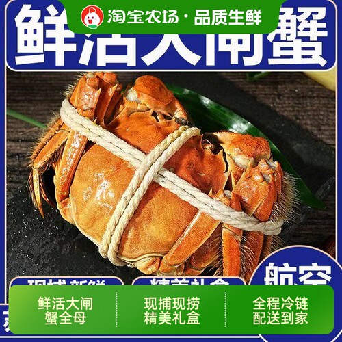 活蟹大闸蟹礼盒装苏州发货