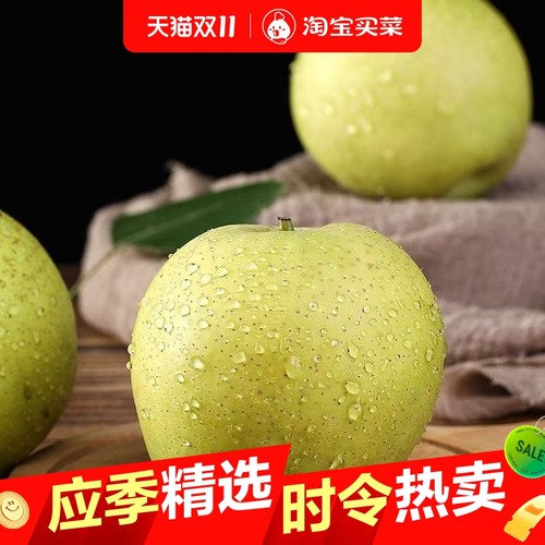 安徽苏翠一号梨新梨绿皮梨皇冠梨青皮梨当季新鲜水果批发 包邮