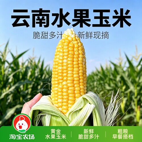 云南新鲜水果玉米新鲜水果