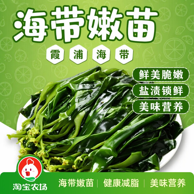 鲜海带苗嫩海带商用霞浦新鲜盐渍小海火锅食材丰富美味凉拌煲汤