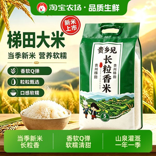 南方精选长粒米正宗猫牙米