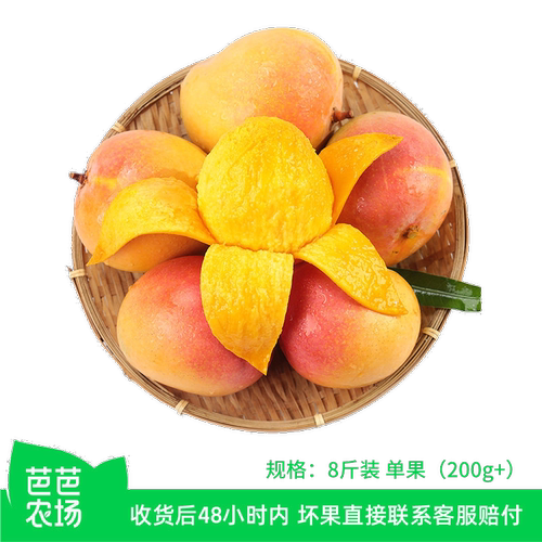 热农芒产地直发现摘孕妇水果软糯香甜多汁大果芒果种植农场果肉