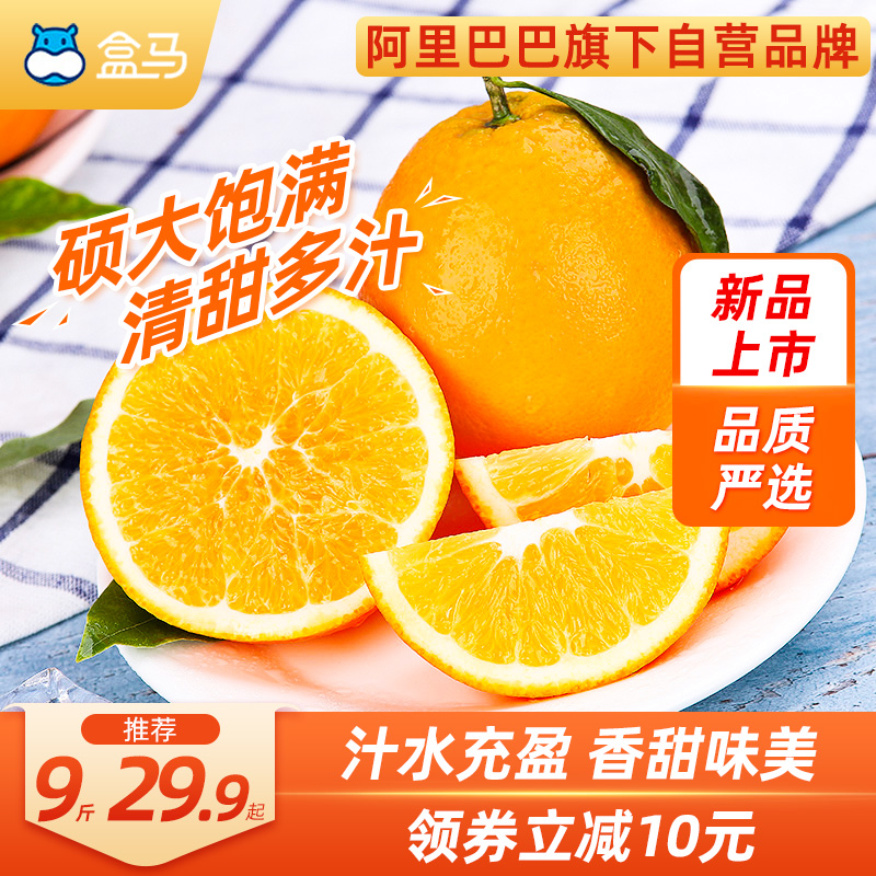 盒马【枝滋有味】湖北枝江脐橙3斤起当季新鲜水果手剥橙橙子包邮