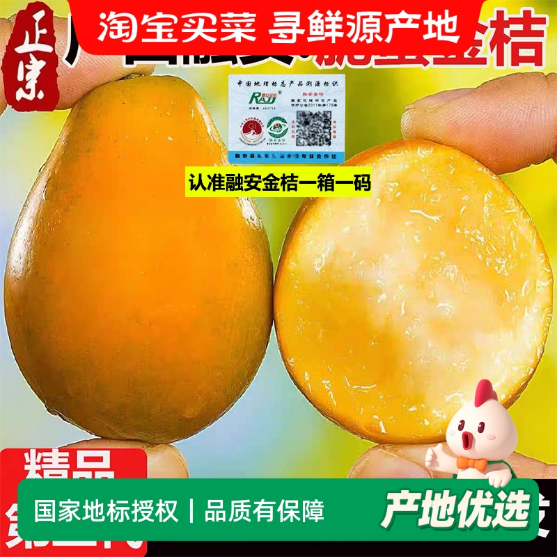 顺丰包邮脆蜜金柑第三代融安金桔正宗纯甜新鲜广西当季水果现摘