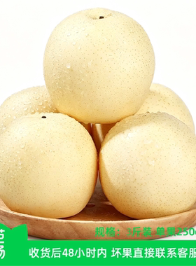 河北白皇冠梨3斤单果250g+