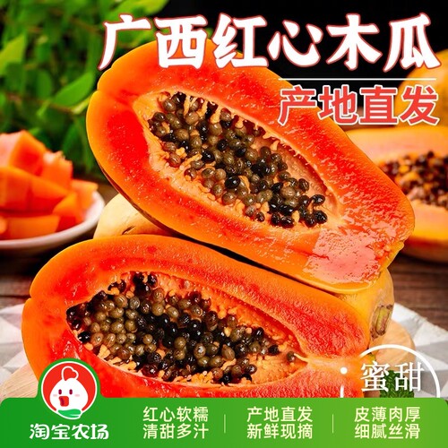 广西牛奶冰糖红心木瓜香甜软糯
