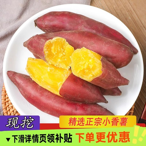 临安天目山小香薯正宗农家自种小番薯地瓜蜜薯新鲜板栗薯产地包邮