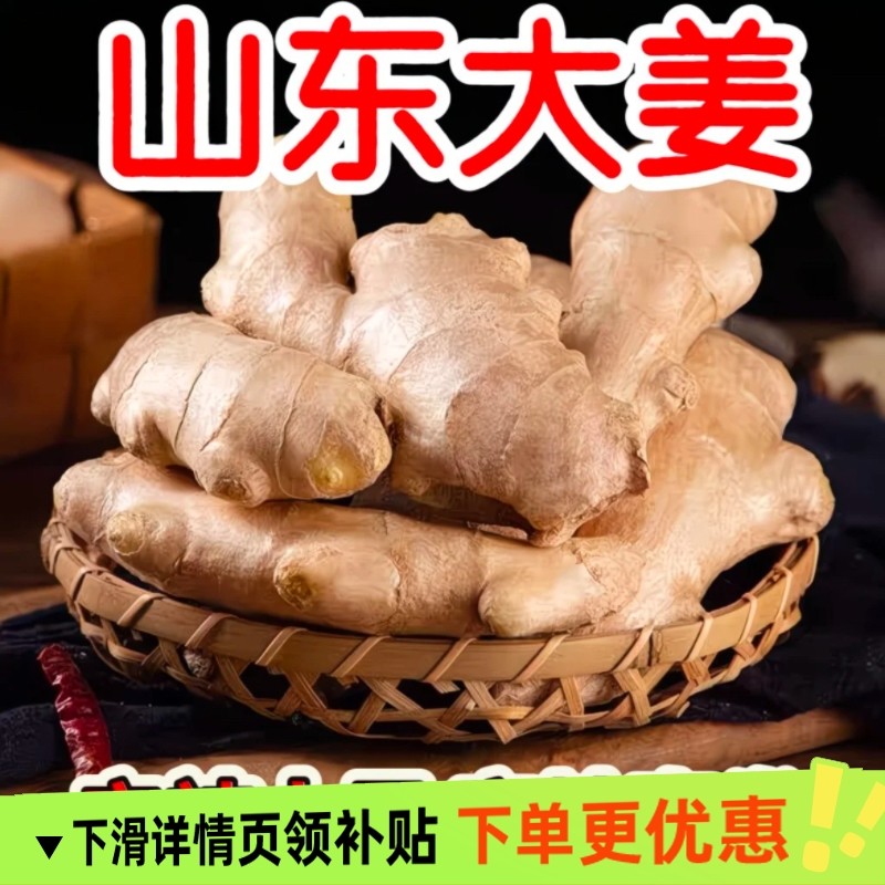 正宗山东水洗风干生姜姜大姜生姜老姜大黄姜月子姜批发无硫姜姜块