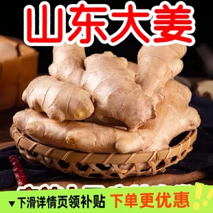 正宗山东水洗风干生姜姜大姜生姜老姜大黄姜月子姜批发无硫姜姜块
