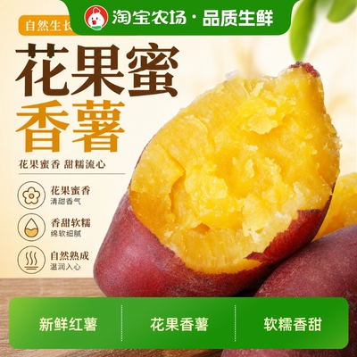正宗花果蜜薯农家板栗番薯