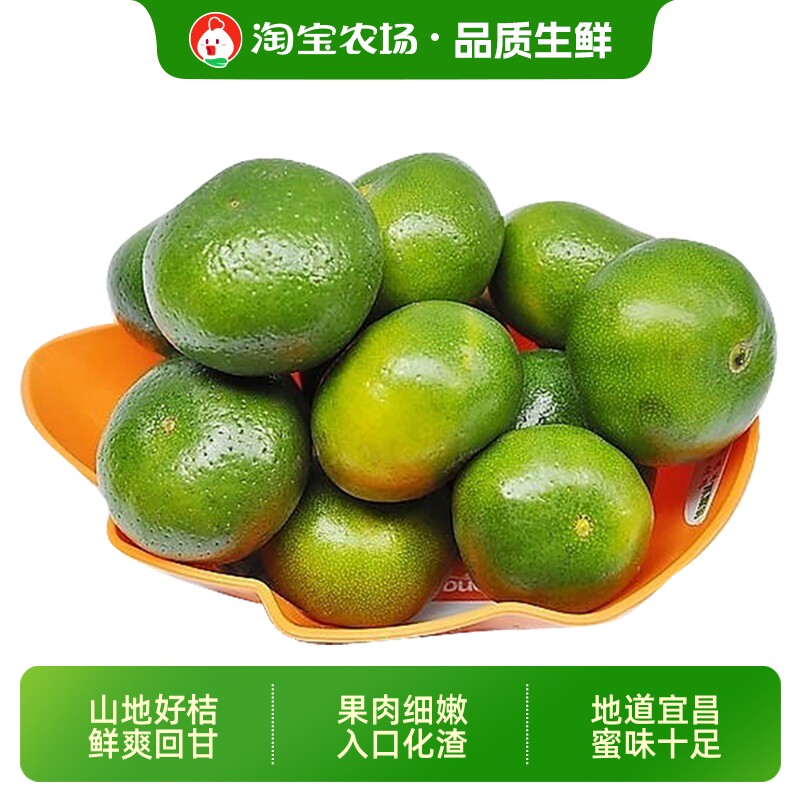 宜昌蜜橘桔子早熟无籽新鲜橘子孕妇水果整箱当季青皮柑橘现摘农场