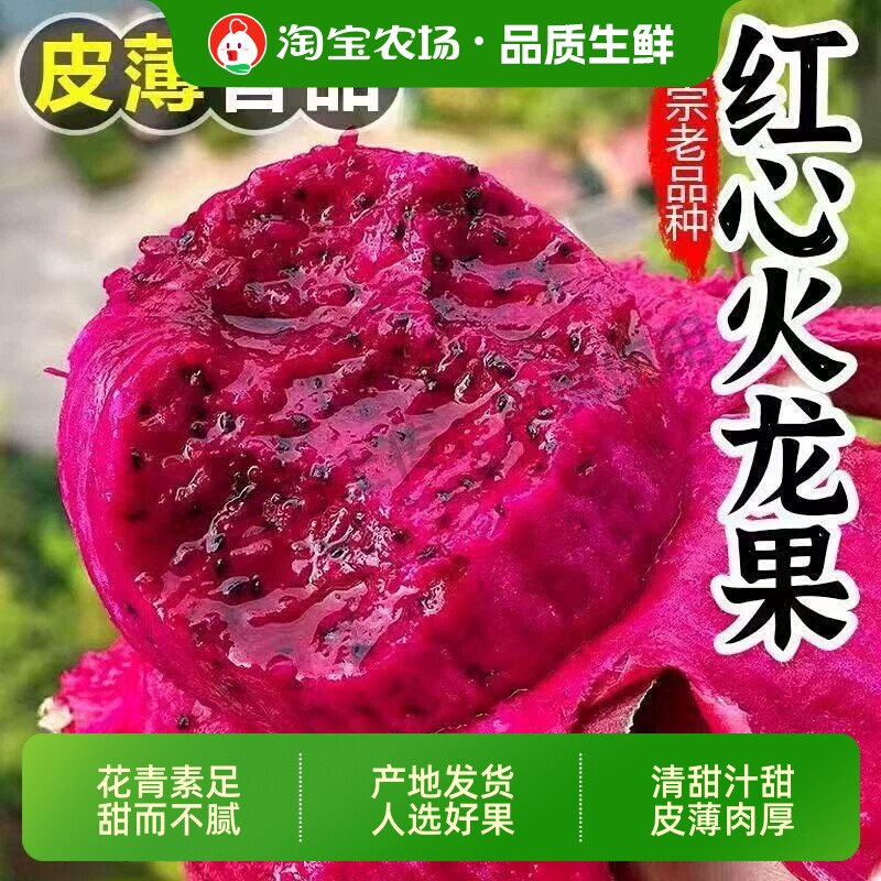 广西产地当季金都一号红心火龙果红肉热带新鲜水果现摘大果
