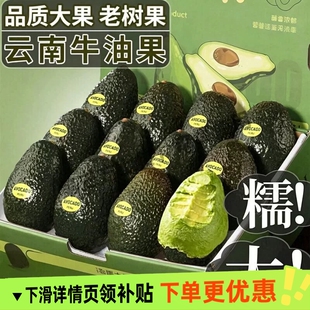 秘鲁进口孟连哈斯牛油果新鲜水果巨无霸当季现摘即食一级鳄梨