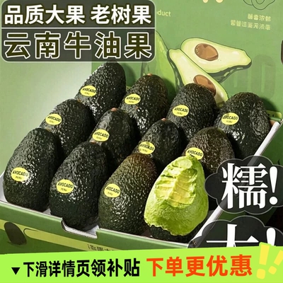 秘鲁进口孟连哈斯牛油果新鲜水果整箱当季现摘即食鳄梨