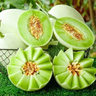 海南玉菇甜瓜 软糯香甜多汁蜜瓜4.5斤皮薄肉厚时令应季新鲜水果